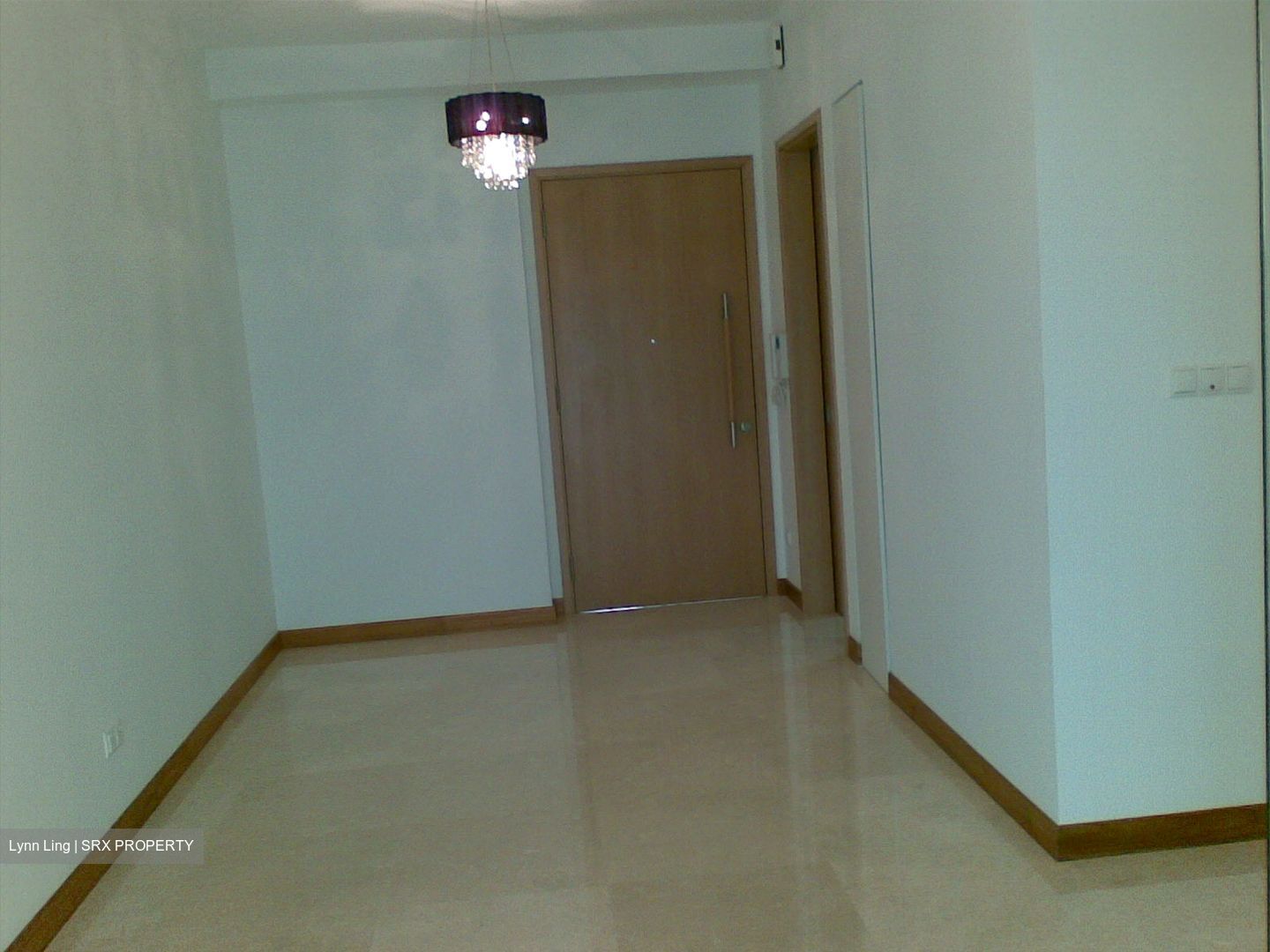 One Oxley Rise (D9), Apartment #316099301